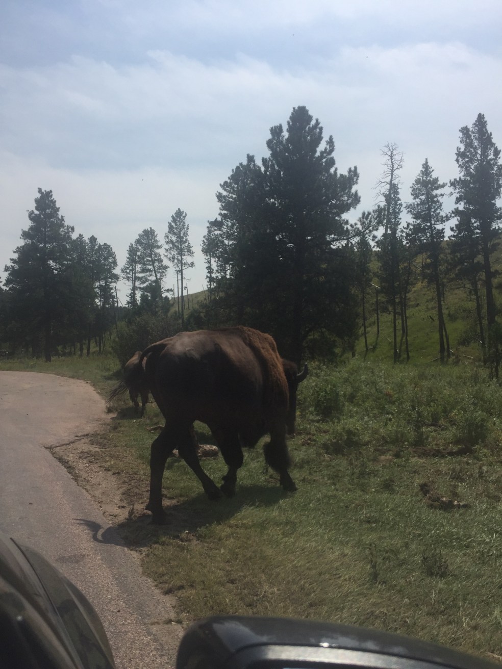 1EE9D4F2-9E68-4167-916B-48F10E055B6F