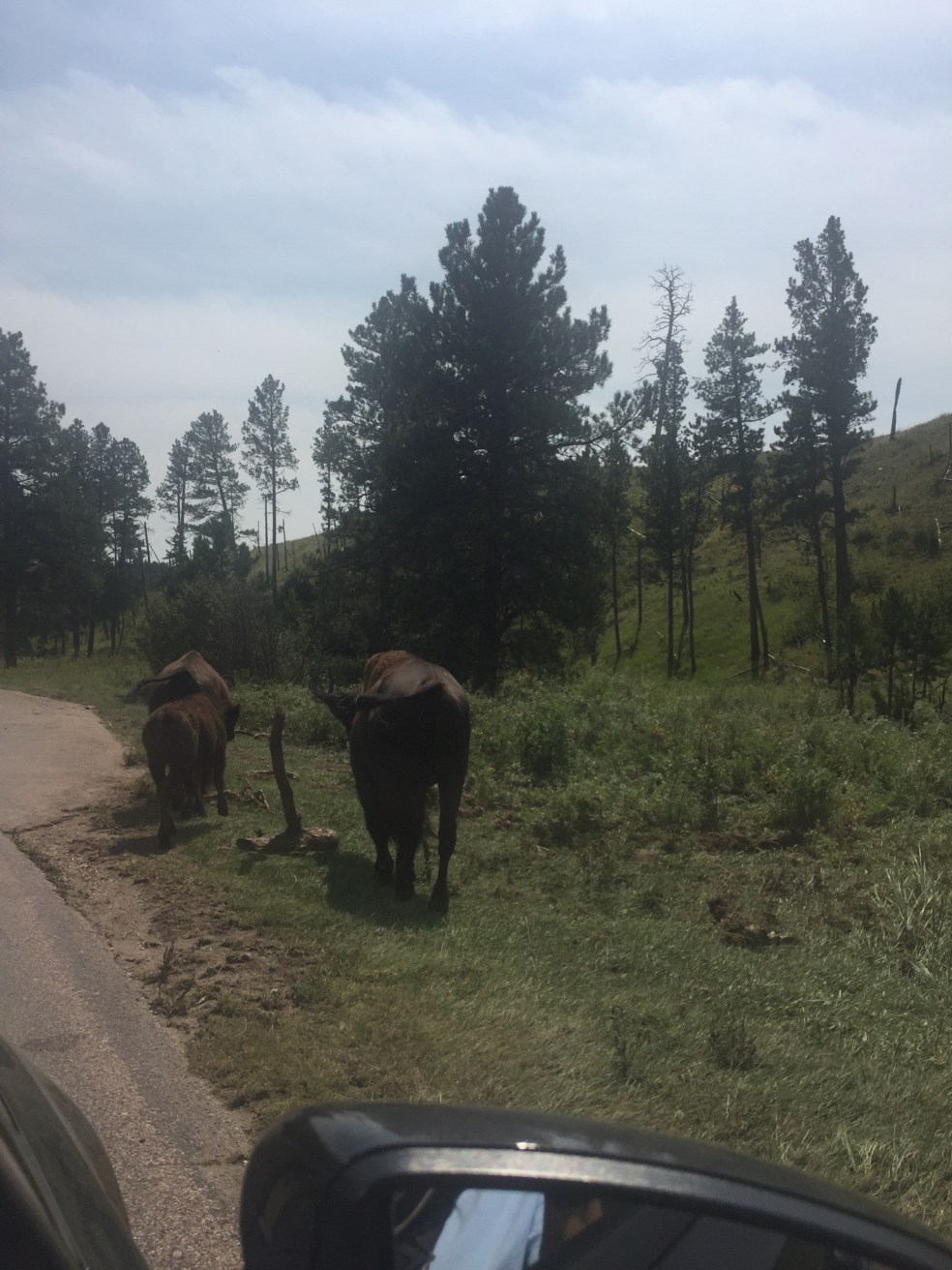 303491E9-EE0A-48E9-BCDB-AD176D2A9E67