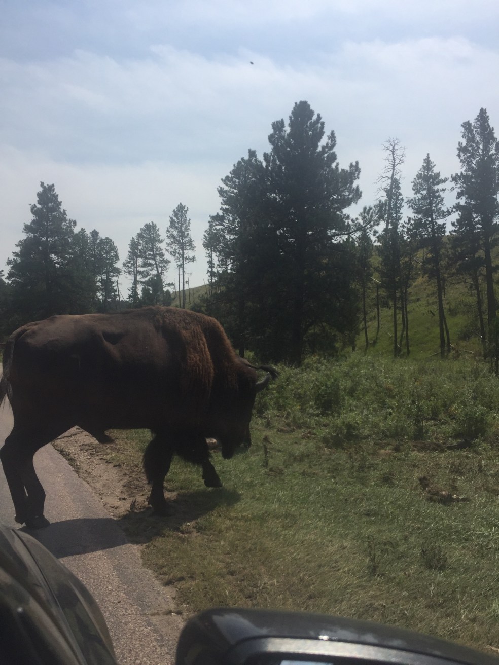 991C17E9-D0C4-4469-89CD-3AAC3C35366E