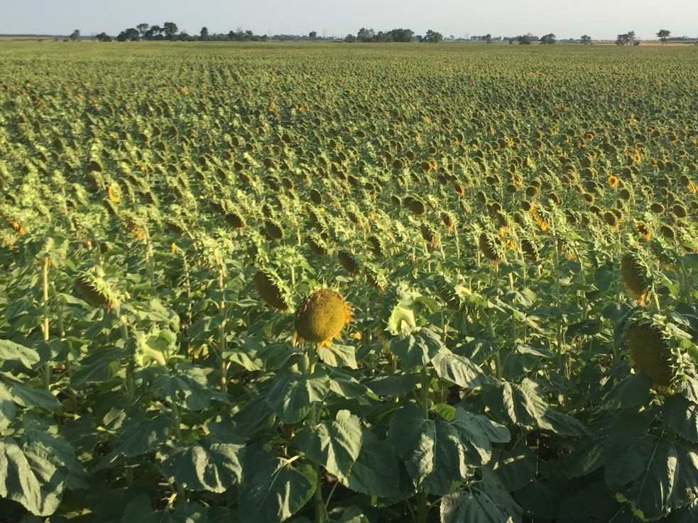 C466AD53-D556-49E8-A613-B17B2C44D777