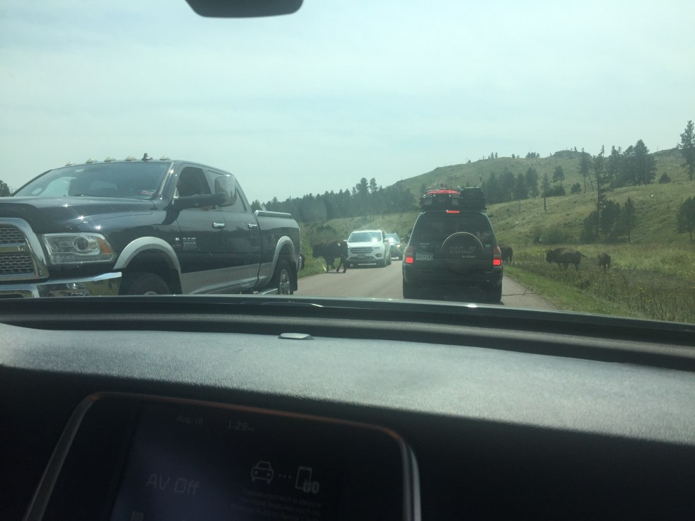 C9130729-C52A-41CC-BBDF-F203F75C9439