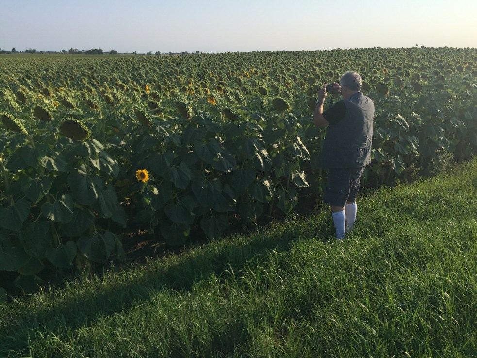 E2F167D6-7FA5-4F5B-8AF9-608C036559A5