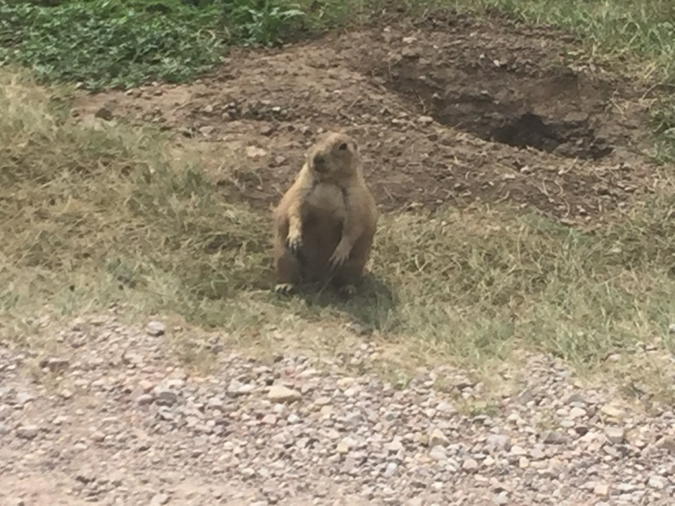 E8352EF5-3833-4C98-A815-4D5A1F1556B0