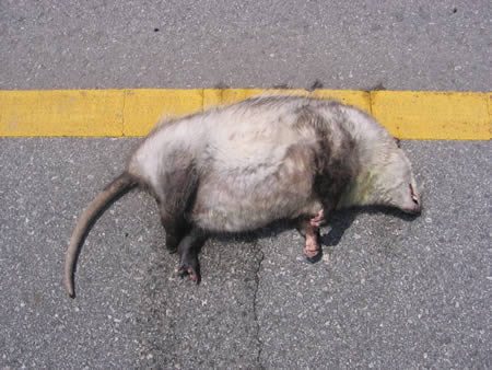 819B60E7-D00C-4739-A0CF-ACD9EFFC1BCB