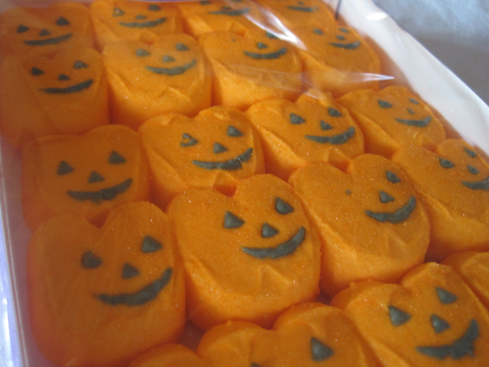 80877EA2-4614-41F1-9FD3-B7FBA44531BB