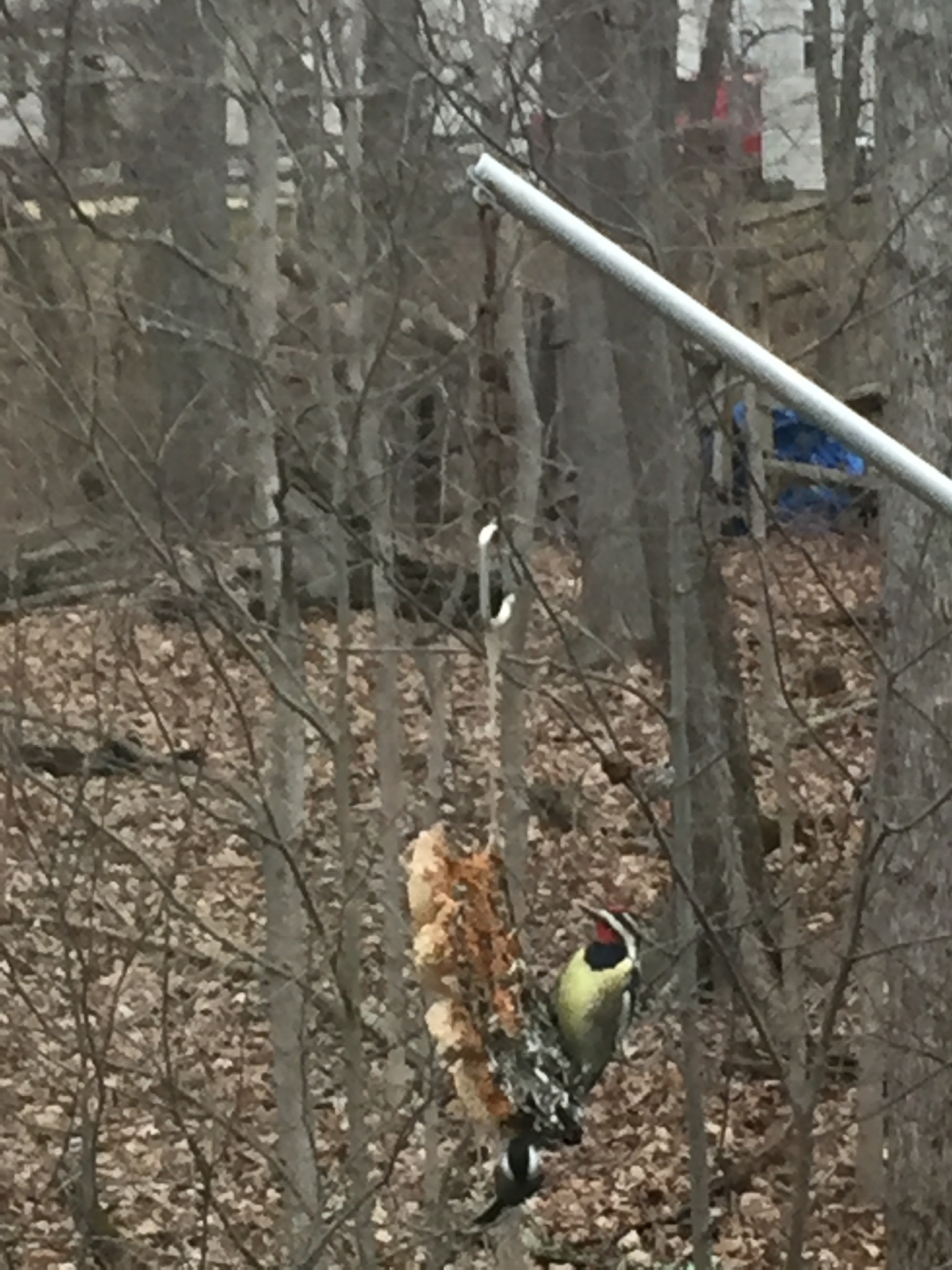 1BC0F222-8595-4E5A-8AFD-AC37509F5DA0