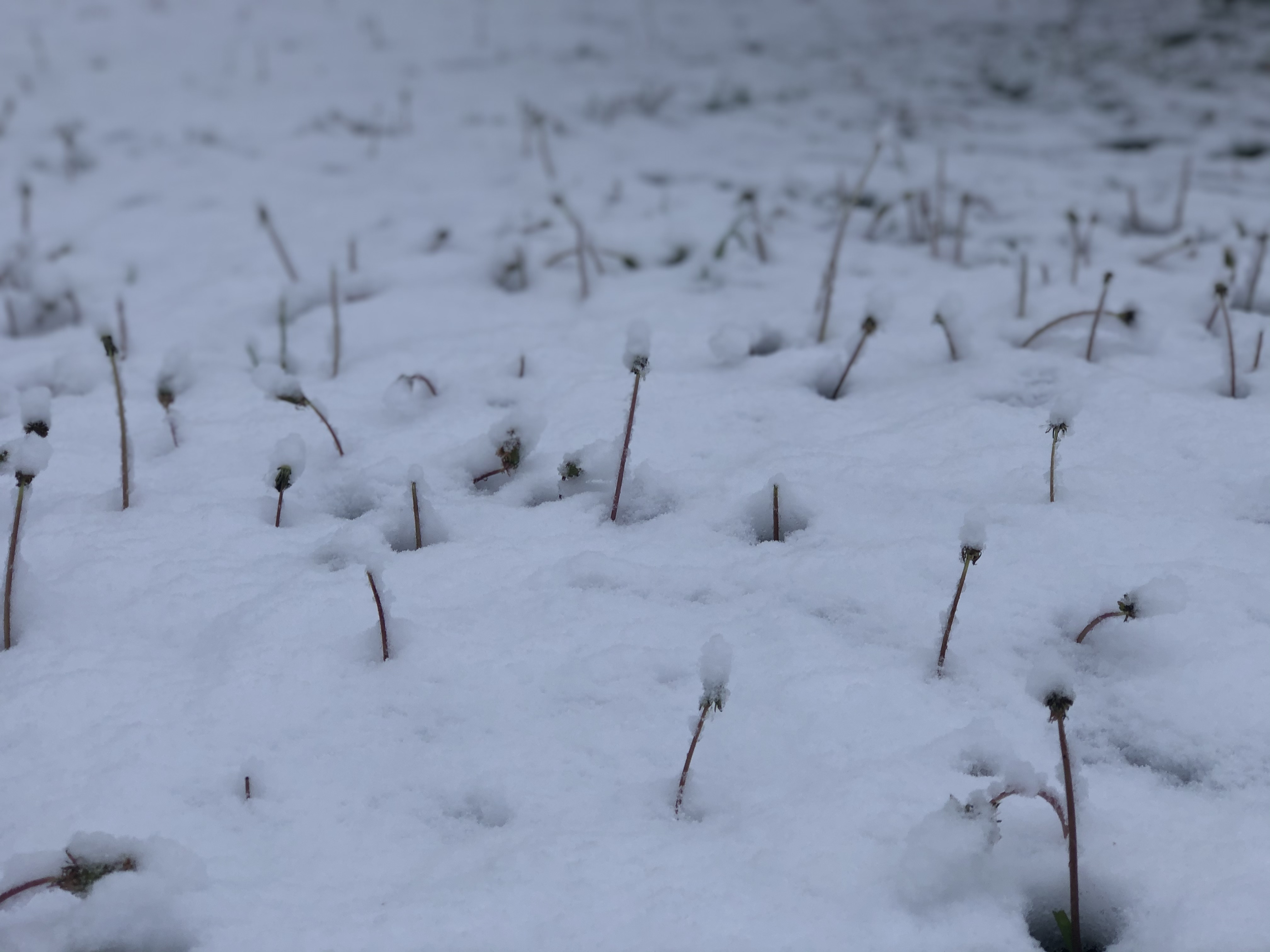 April in Ohio – Treasures in Plain Sight, A Christian Blog