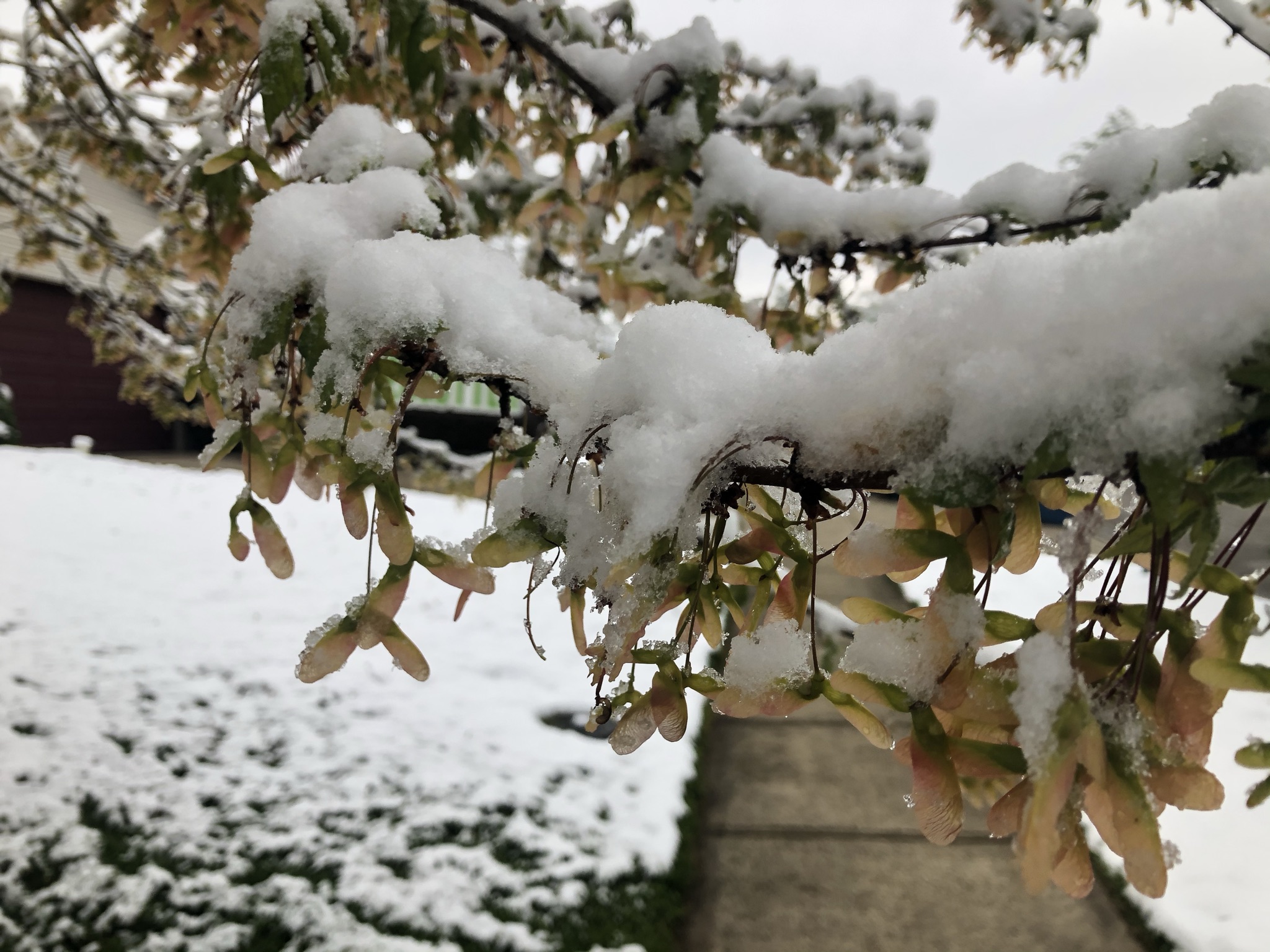 April in Ohio – Treasures in Plain Sight, A Christian Blog