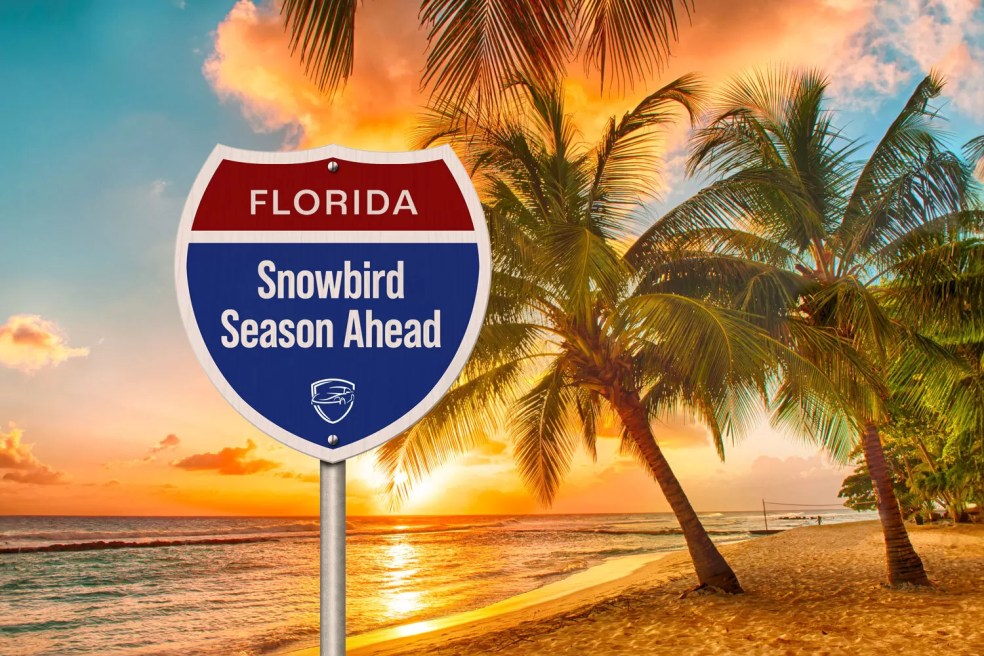 They Moved Back to&nbsp;Florida